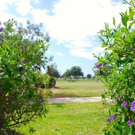 Villa “how To Rent Your Perfect Aphrodite Hills Villa” Loukia *